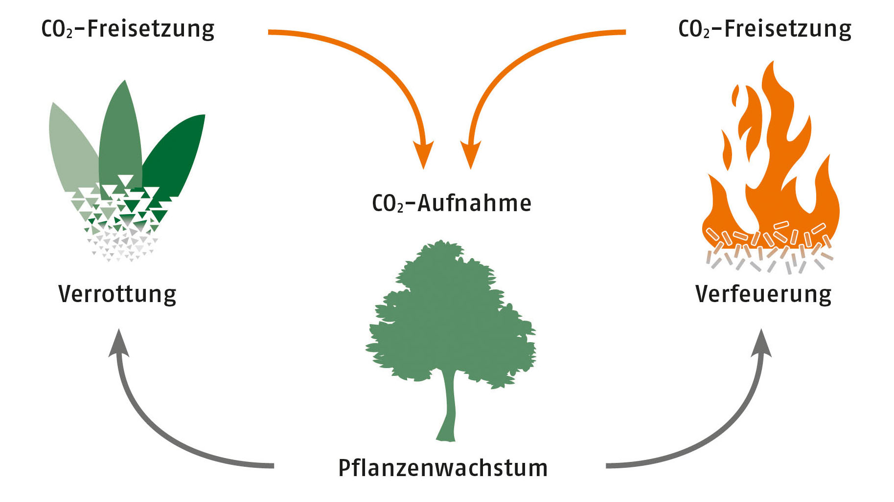 CO2-Kreislauf DEPI