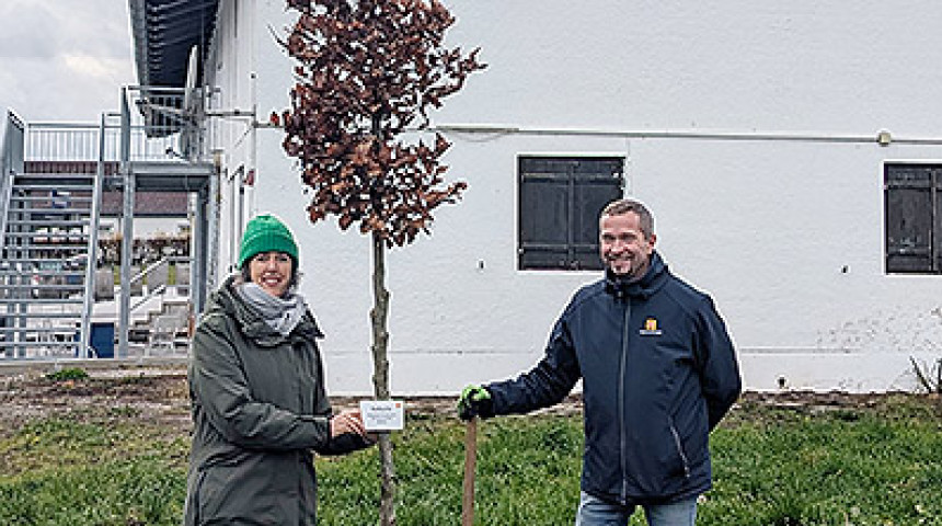 HDG spendet Baum Teaser